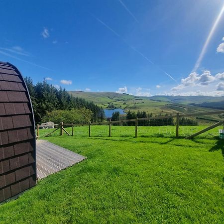 Forester'S Retreat Glamping - Dinas View Hotel Aberystwyth Bagian luar foto