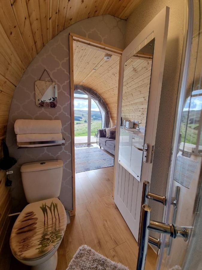 Forester'S Retreat Glamping - Dinas View Hotel Aberystwyth Bagian luar foto