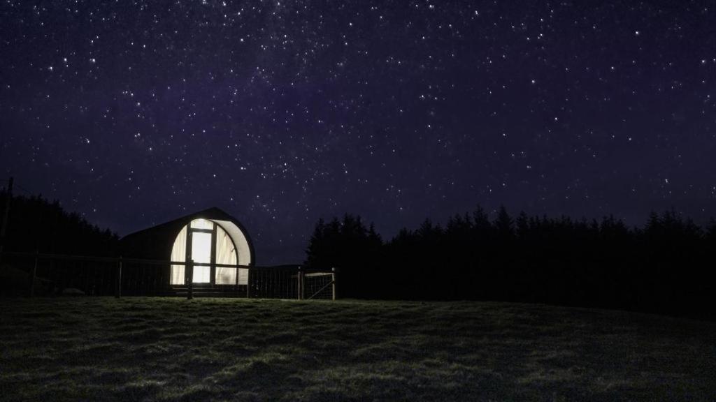 Forester'S Retreat Glamping - Dinas View Hotel Aberystwyth Bagian luar foto