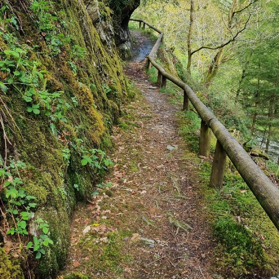 Forester'S Retreat Glamping - Dinas View Hotel Aberystwyth Bagian luar foto