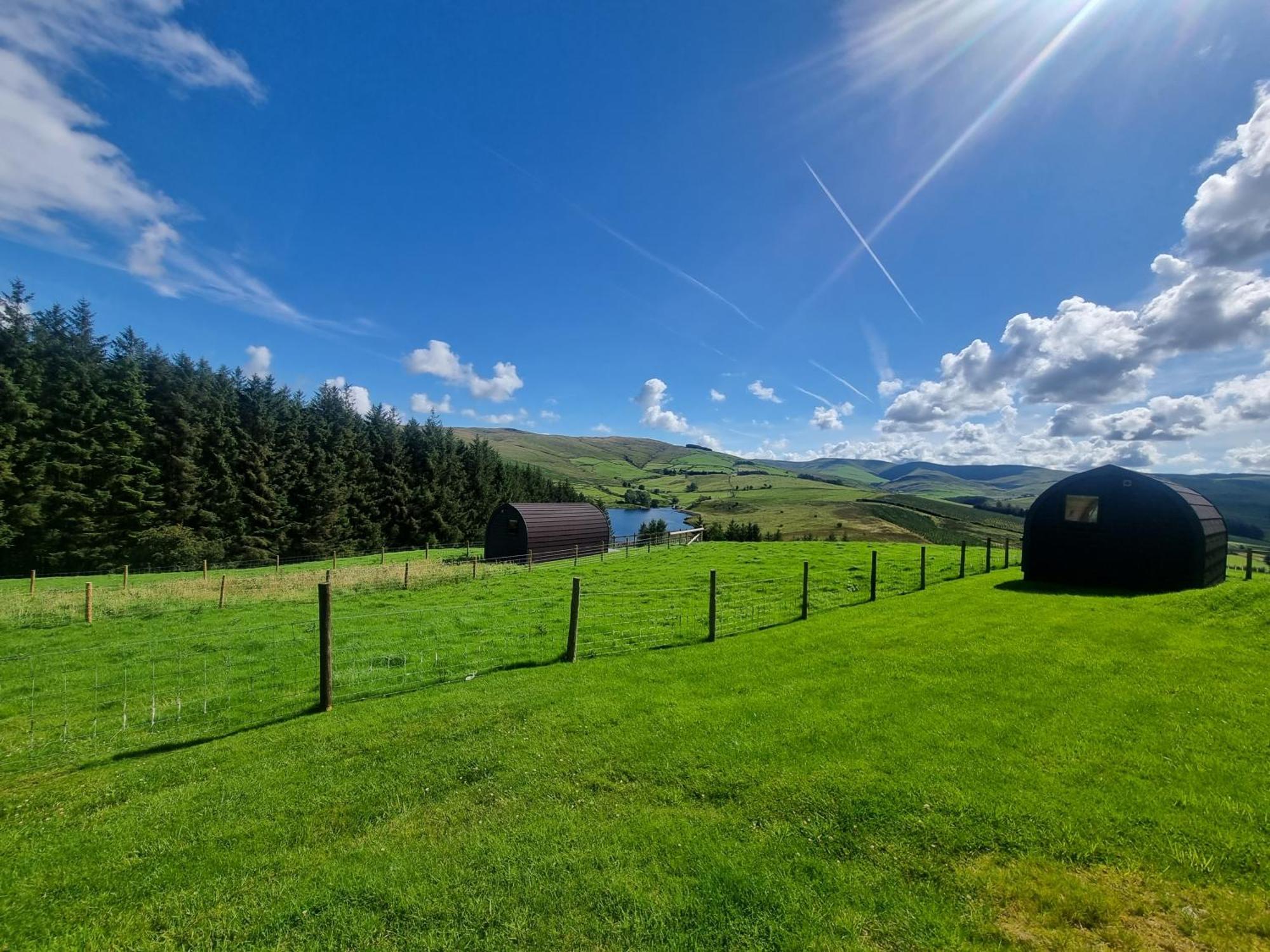 Forester'S Retreat Glamping - Dinas View Hotel Aberystwyth Bagian luar foto