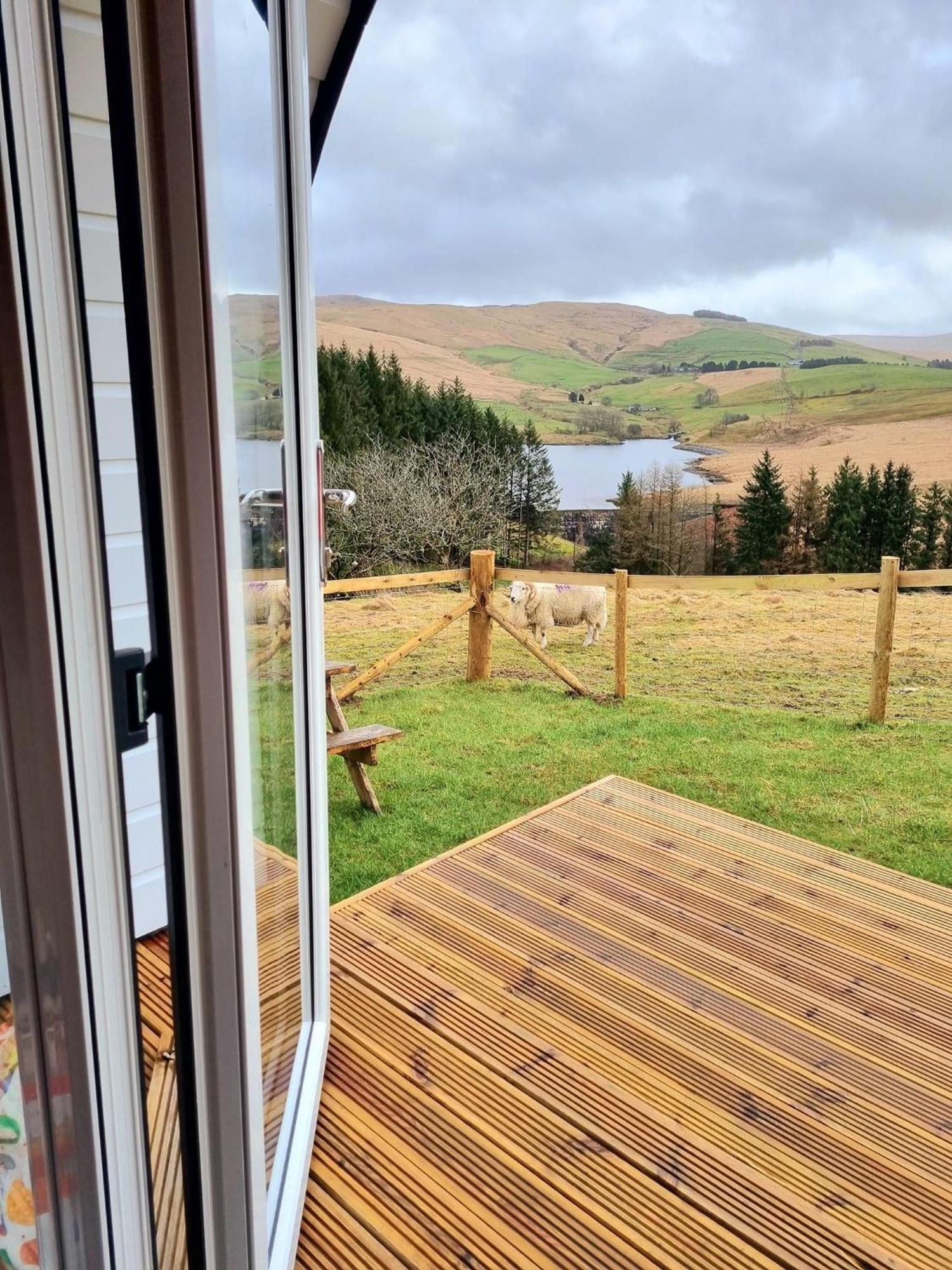 Forester'S Retreat Glamping - Dinas View Hotel Aberystwyth Bagian luar foto