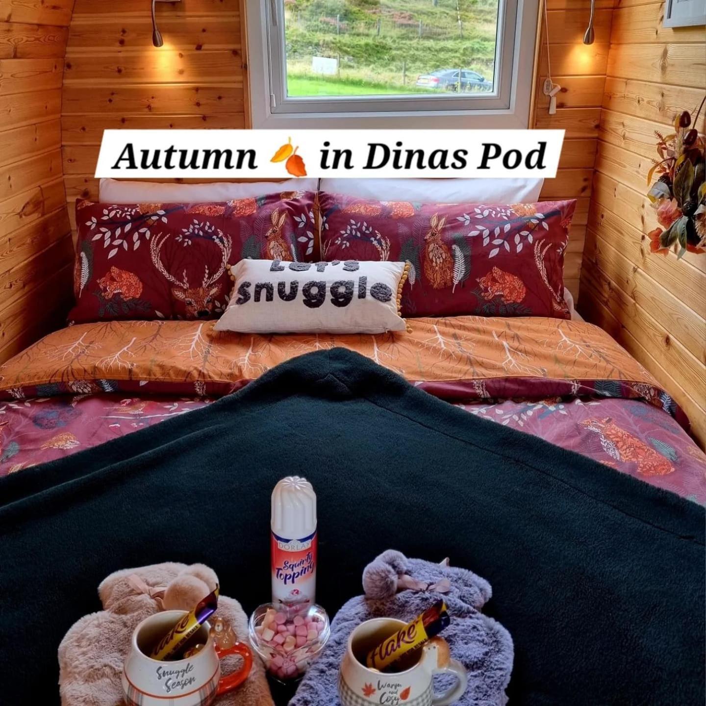 Forester'S Retreat Glamping - Dinas View Hotel Aberystwyth Bagian luar foto